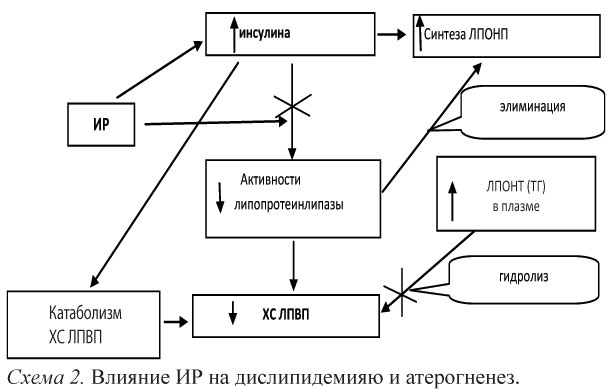 Запустить обмен веществ для похудения